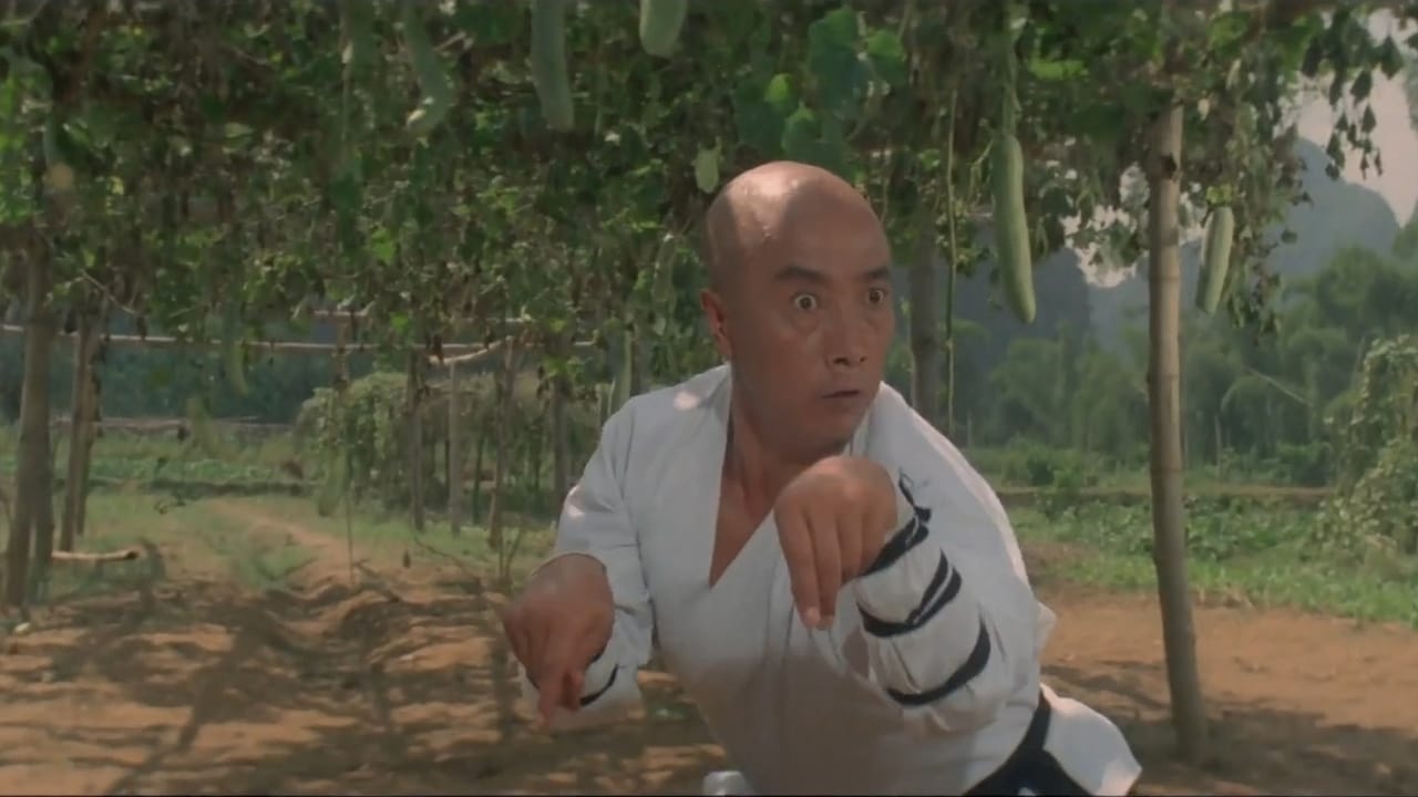 Scen från Shaolin Temple 3: Martial Arts of Shaolin