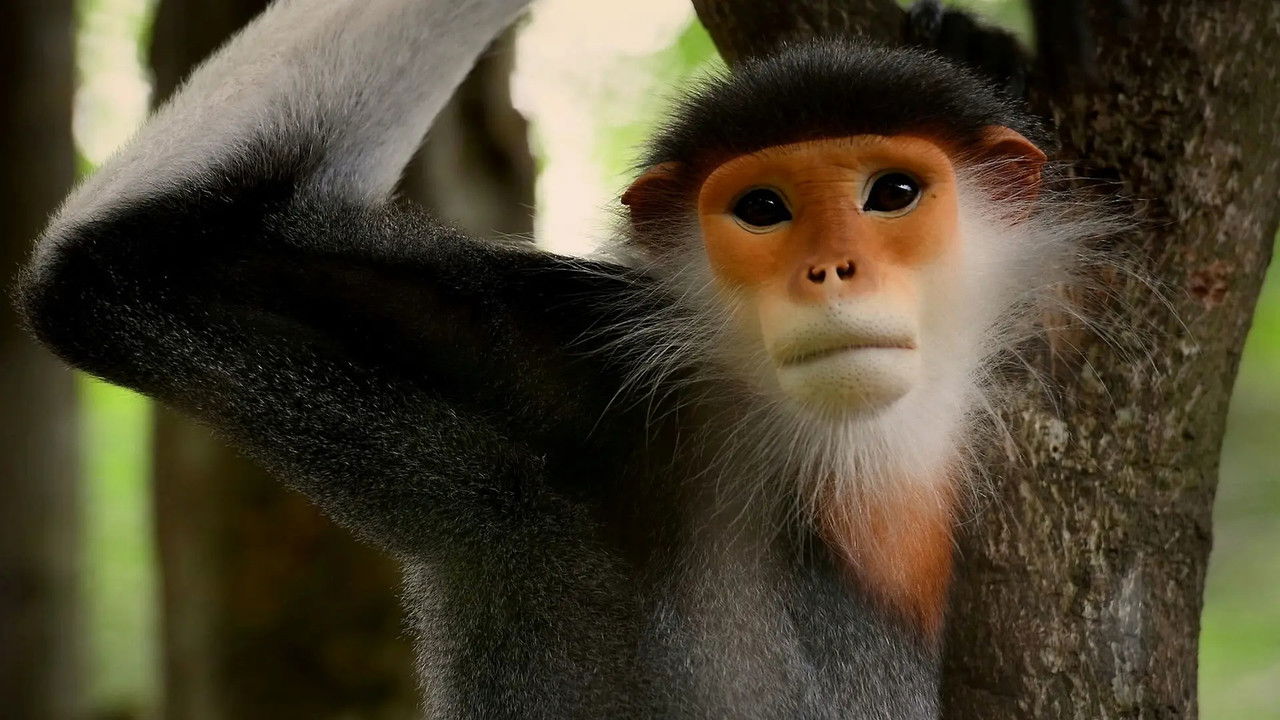 Just Animals — Épisode 1