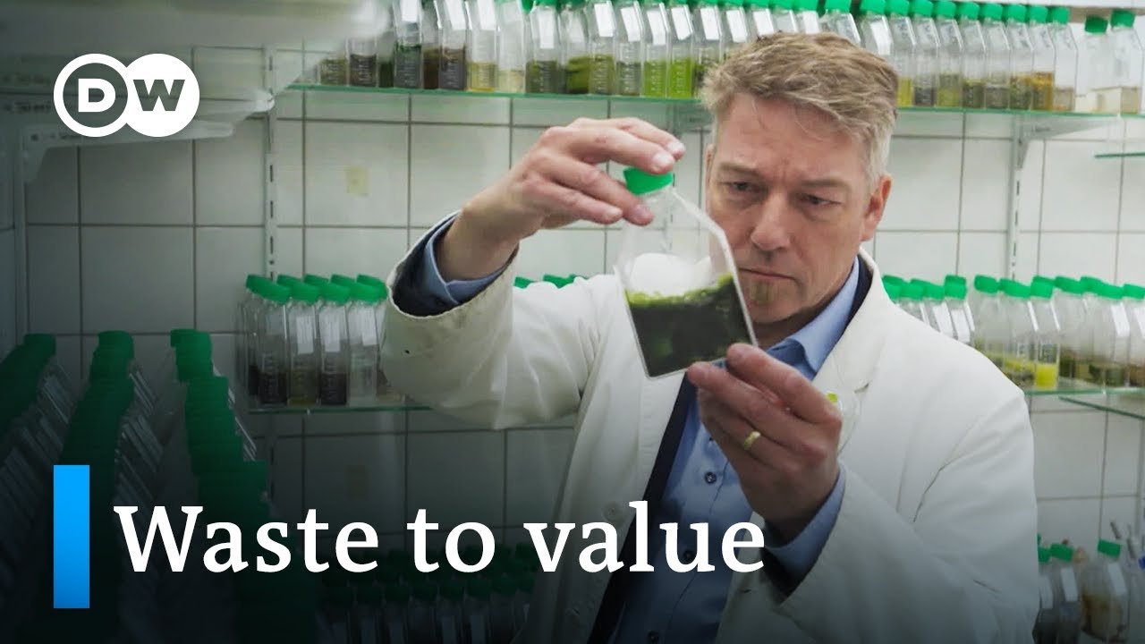 DW Documentary - Season 8 Episode 24 : Can algae save the world?