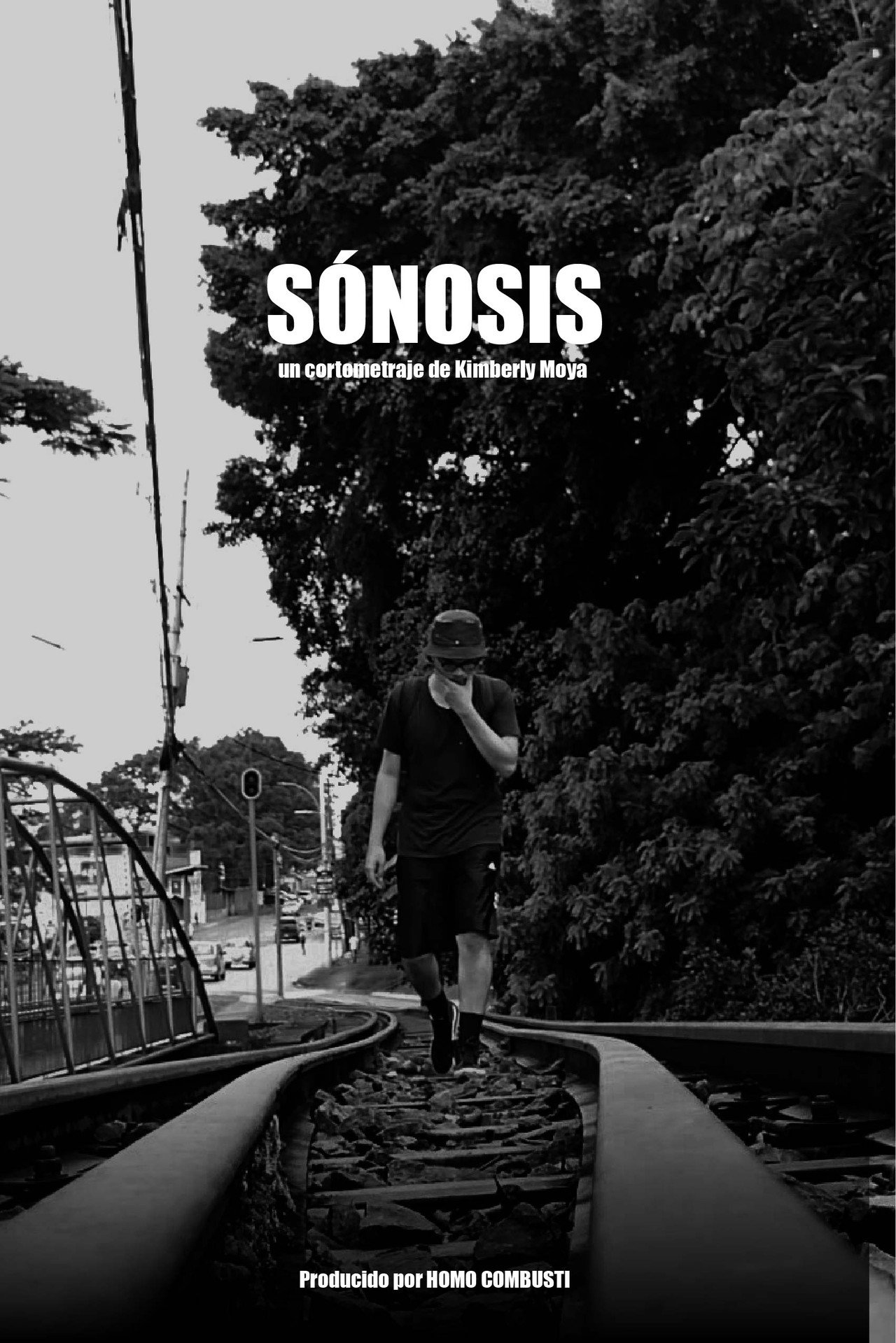 Sónosis filmaffisch