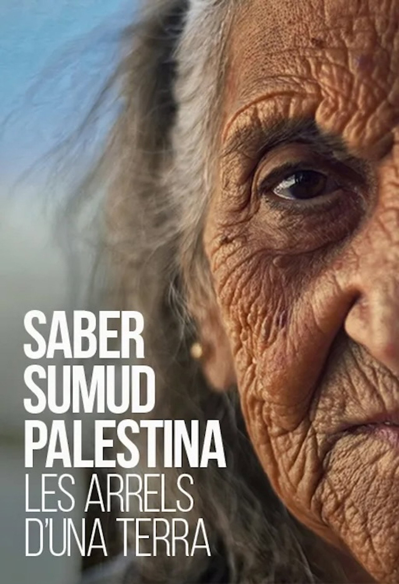 Saber Sumud Palestina: Les arrels d’una terra poster