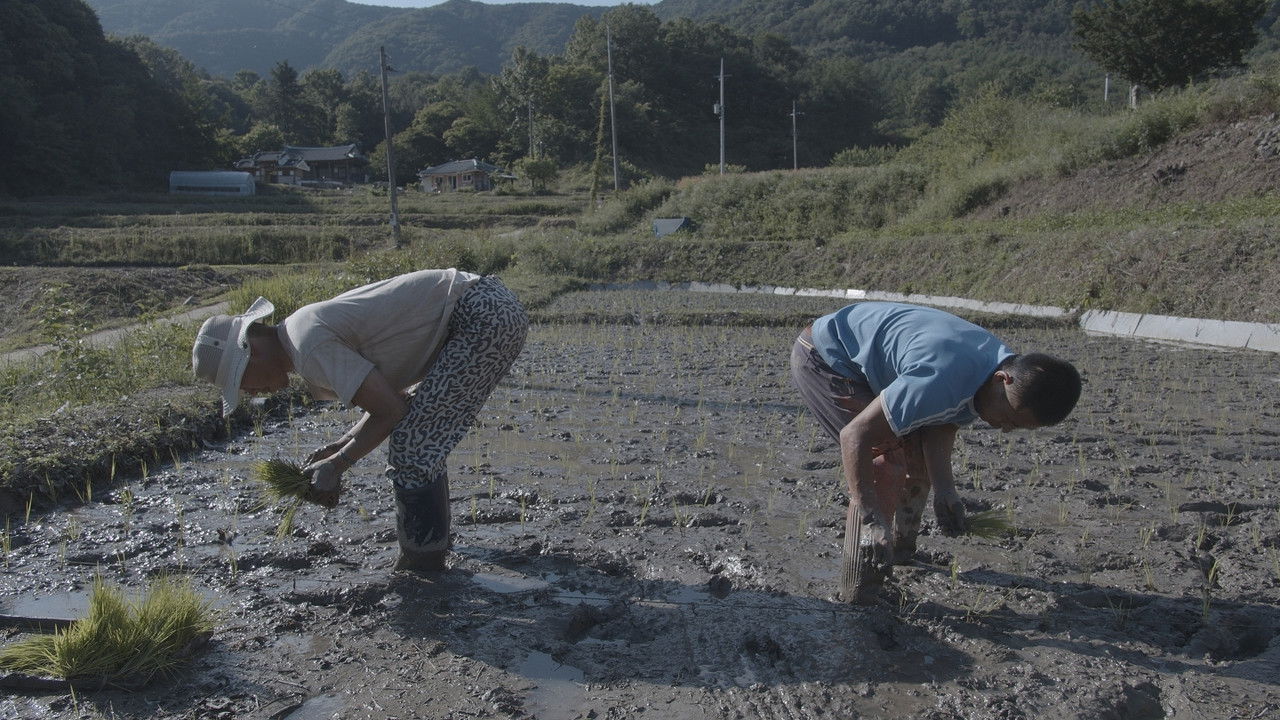 Nata the great peng geunyoung