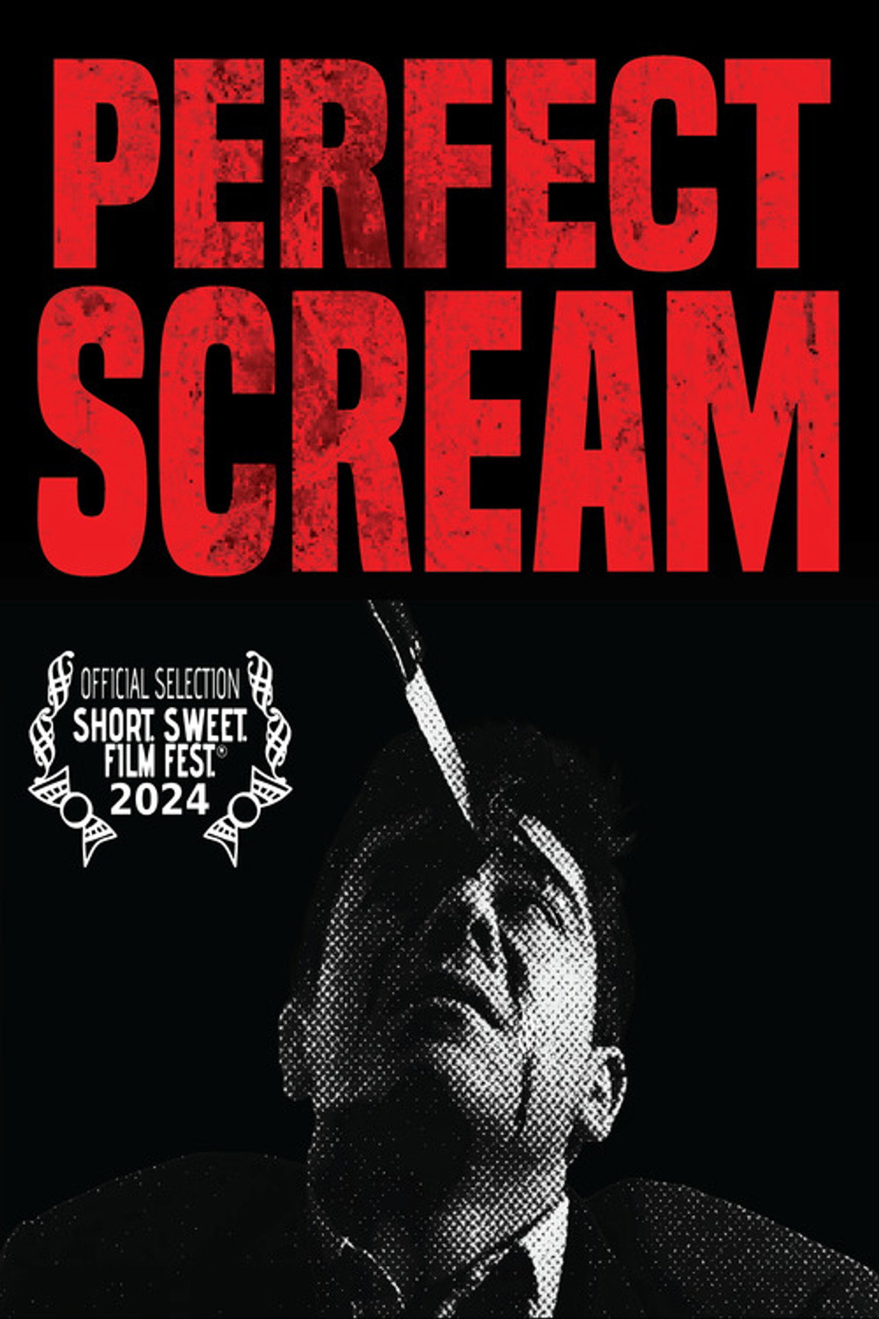 Perfect Scream filmaffisch