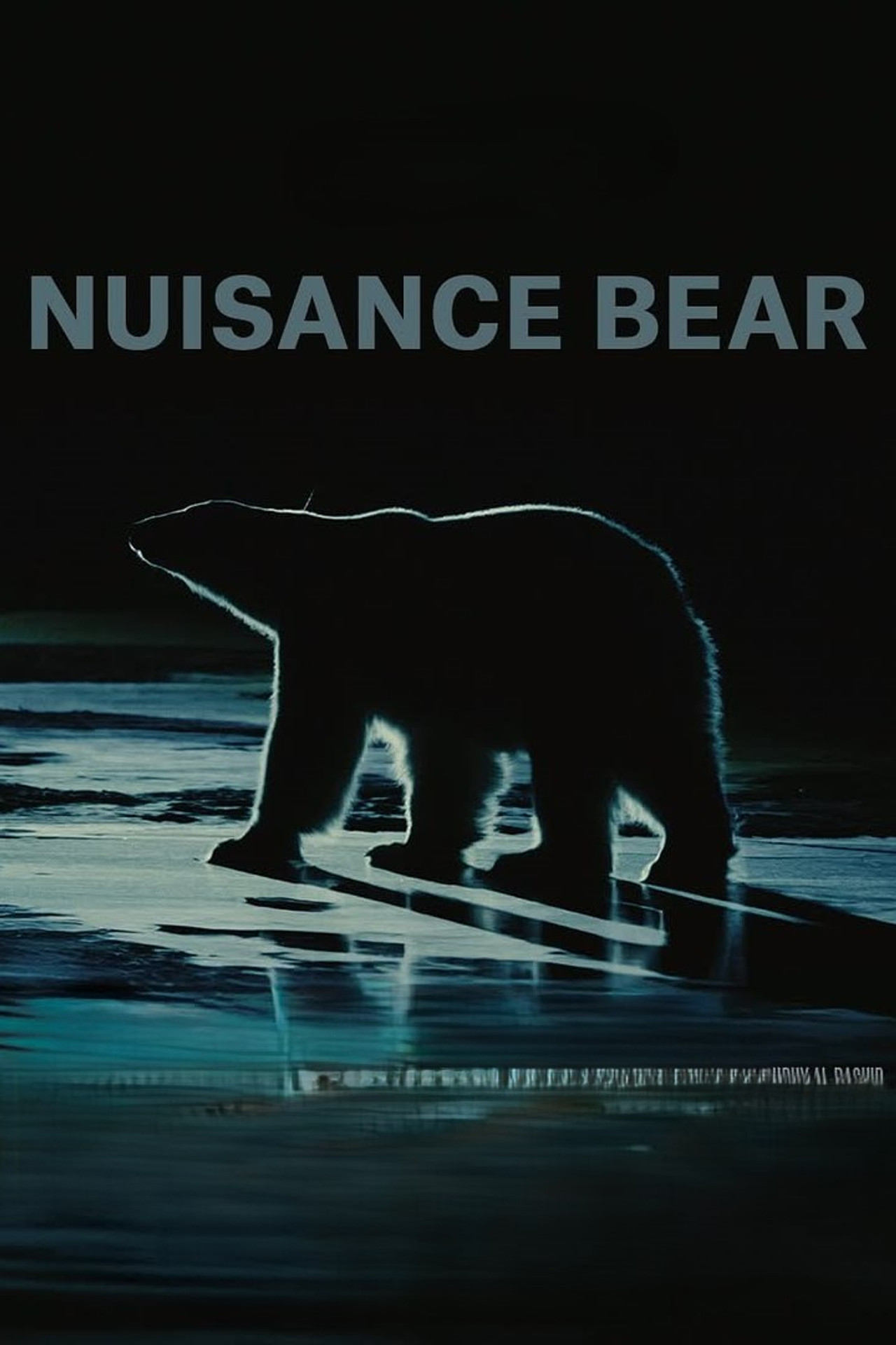 Nuisance Bear poster