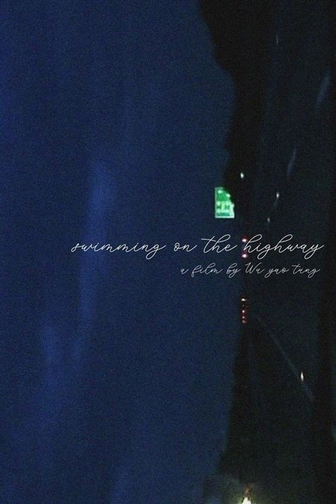 Swimming on the Highway (1998)