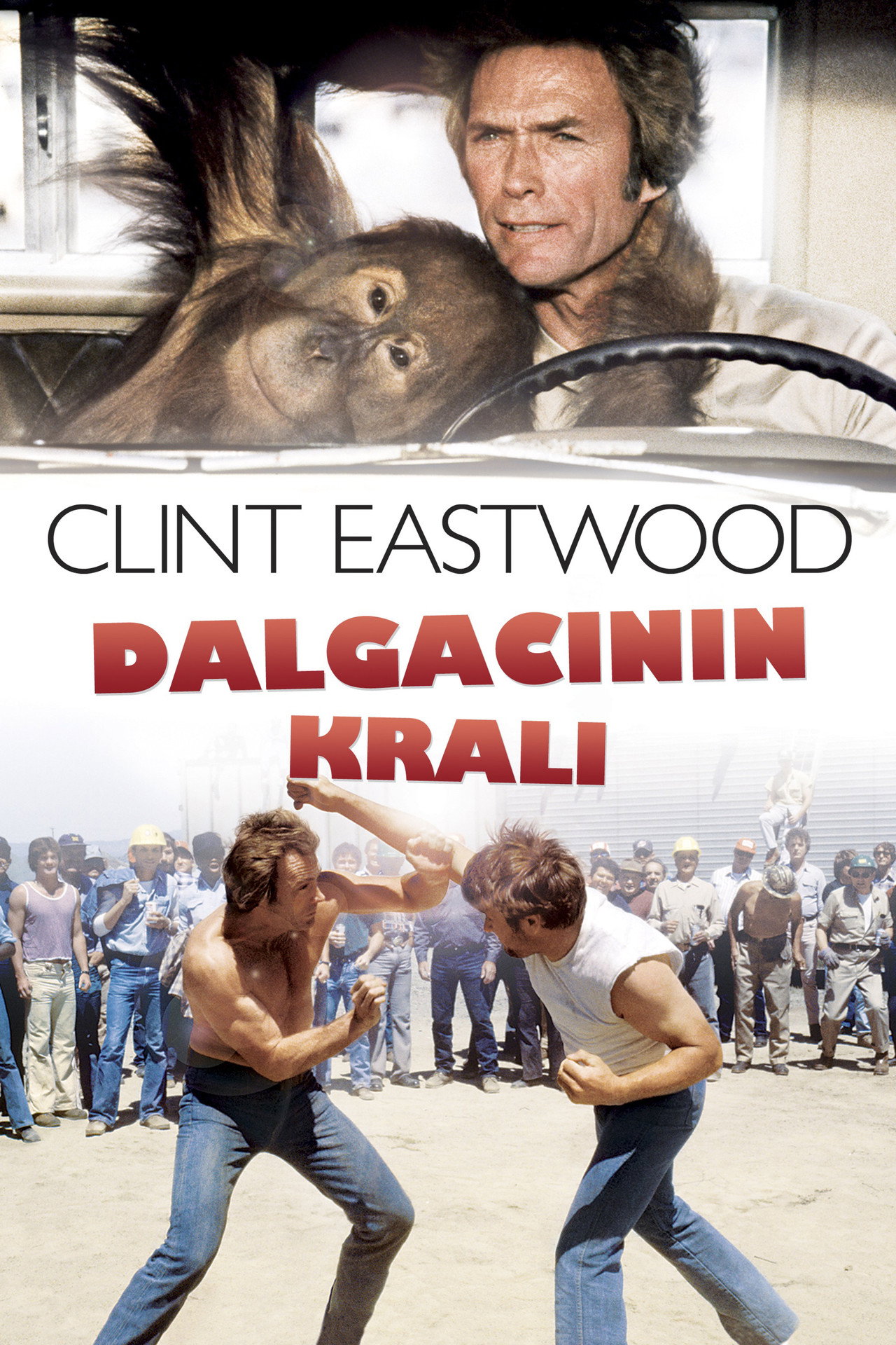 Dalgacının Kralı Poster