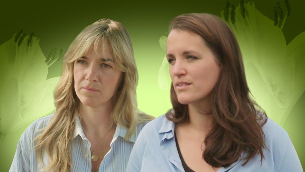 Pointer - Season 12 Episode 14 : Bestrijdingsmiddelen splijtzwam in dorpen