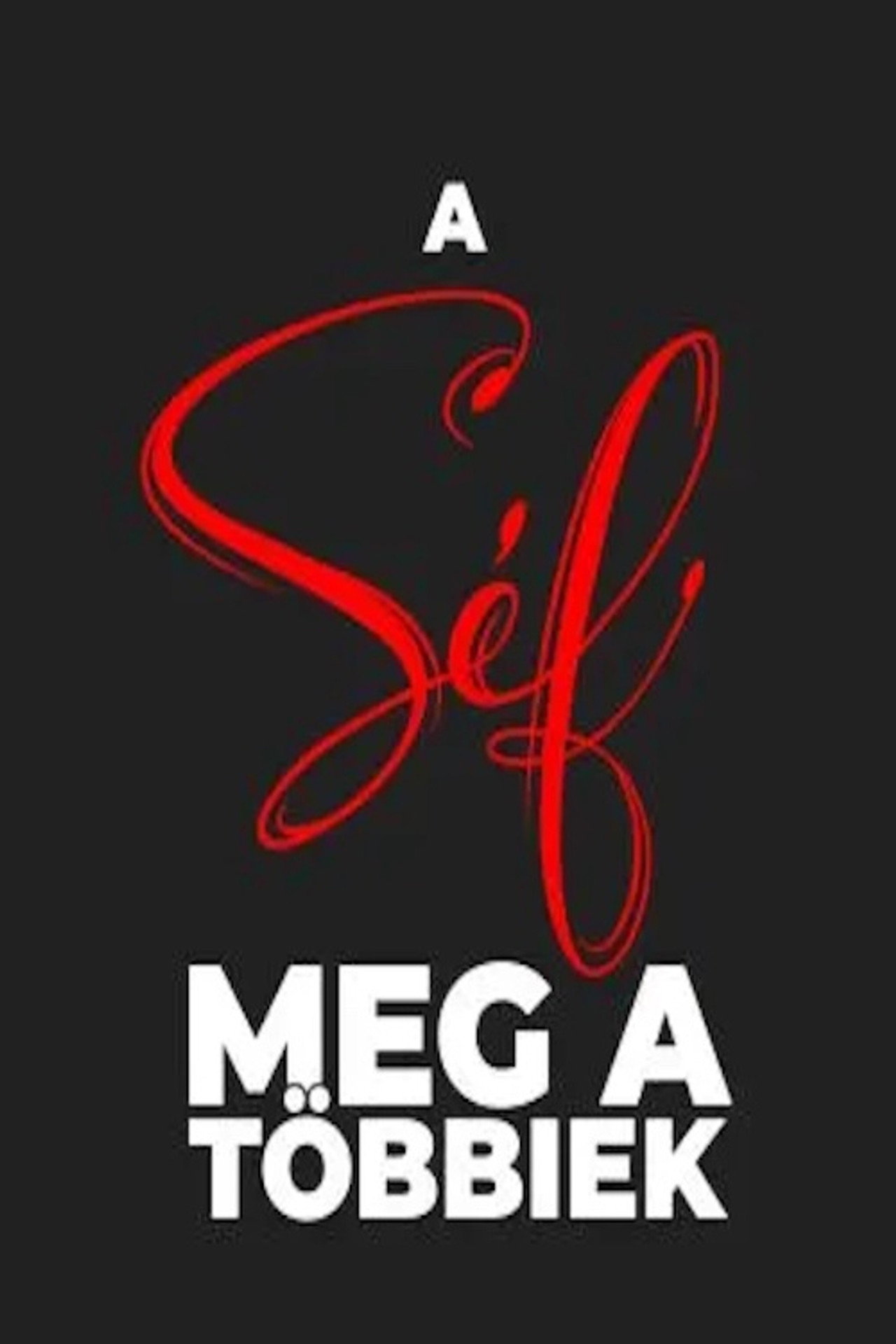 A Séf meg a többiek – plakát 5