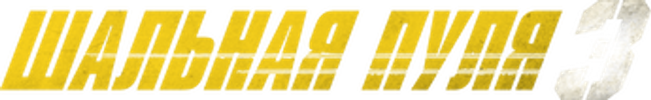 Шальная пуля 3