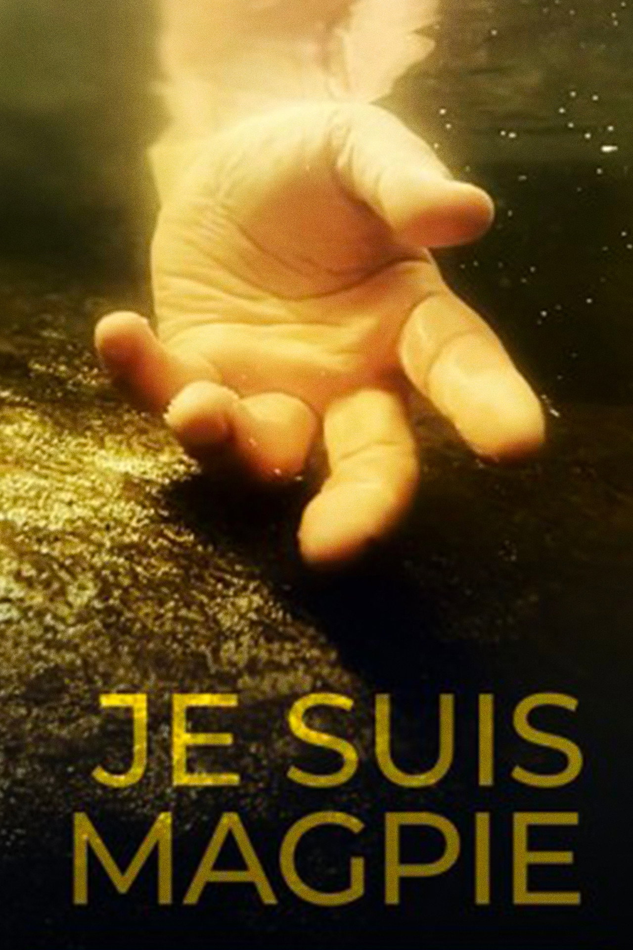 Je suis Magpie filmaffisch