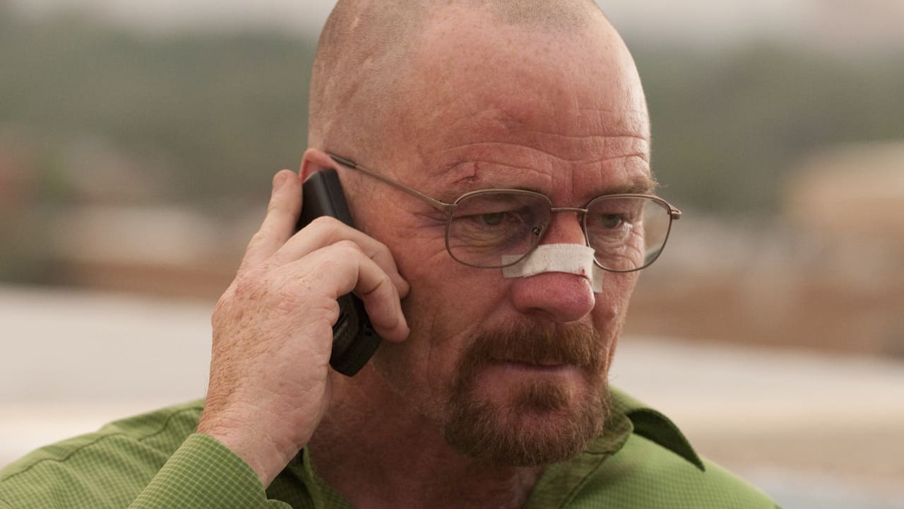 Breaking Bad - Season 4 Episode 13 : Face Off