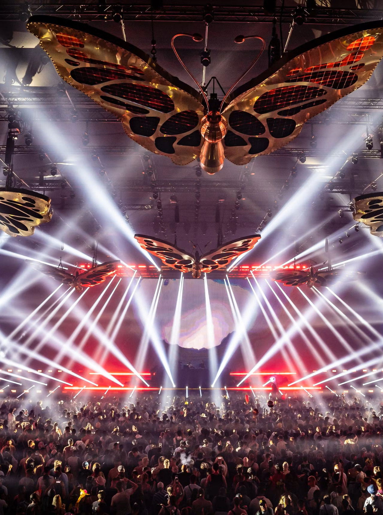 HARDWELL - TOMORROWLAND 2024 W1 (THROWBACK SET - FREEDOM STAGE) Backdrop