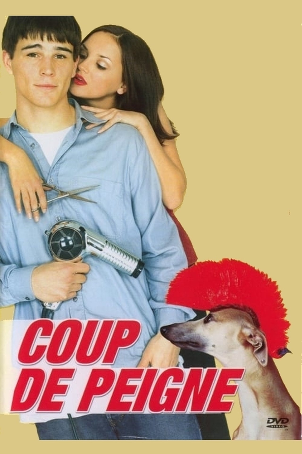 Coup de peigne poster