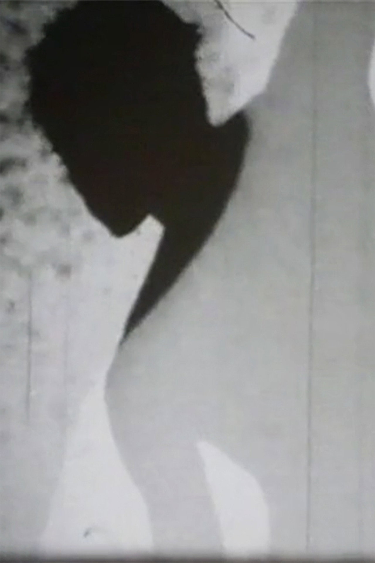 Fantôme filmaffisch