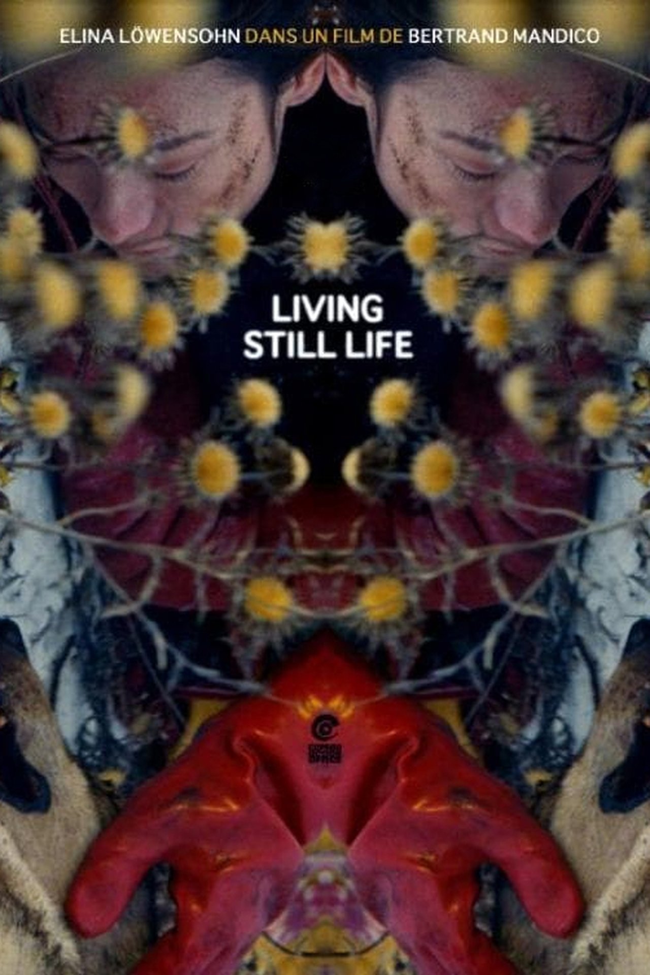 مشاهدة فيلم Living Still Life مترجم بدون اعلانات - بوستر