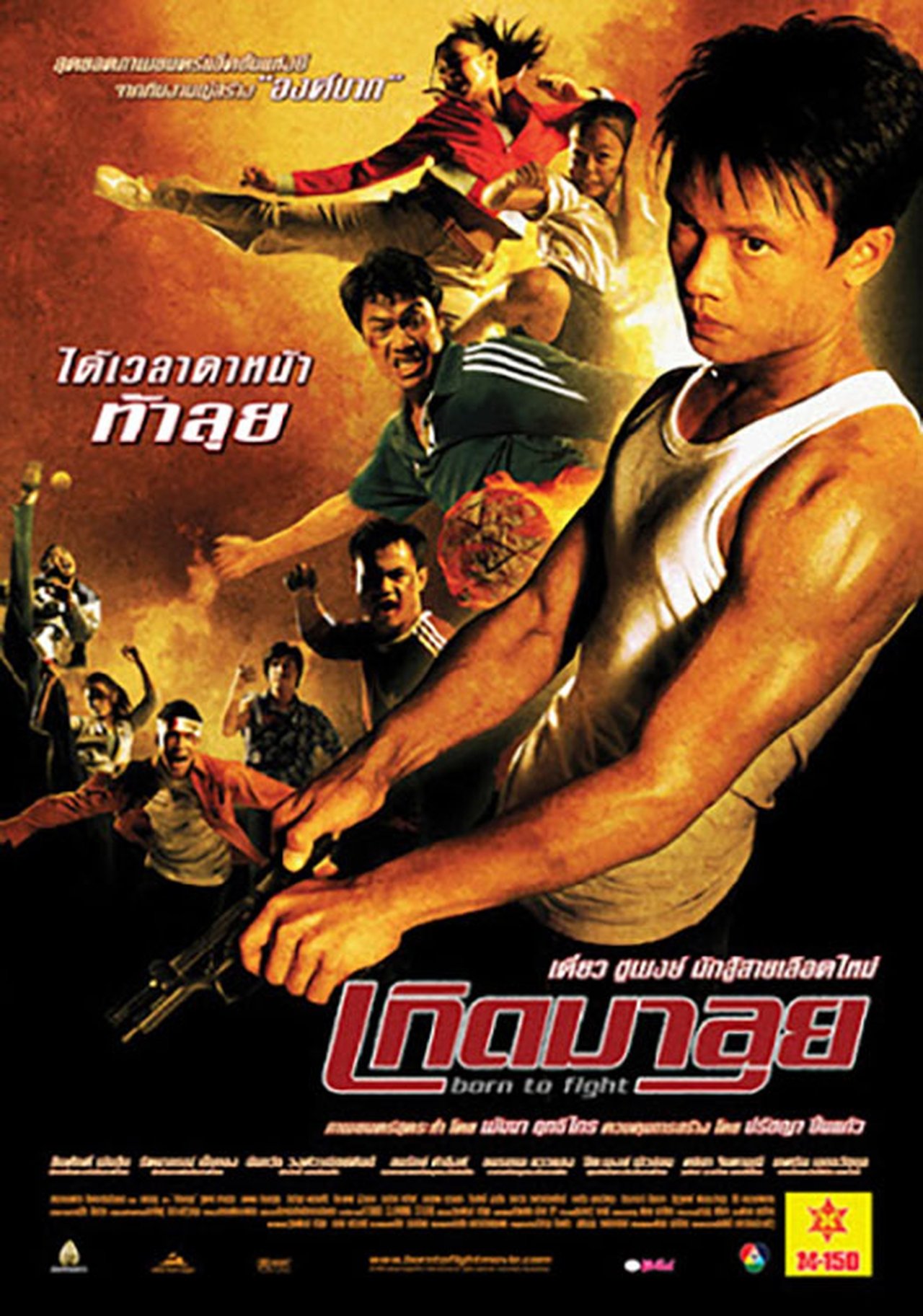 Born to Fight poster