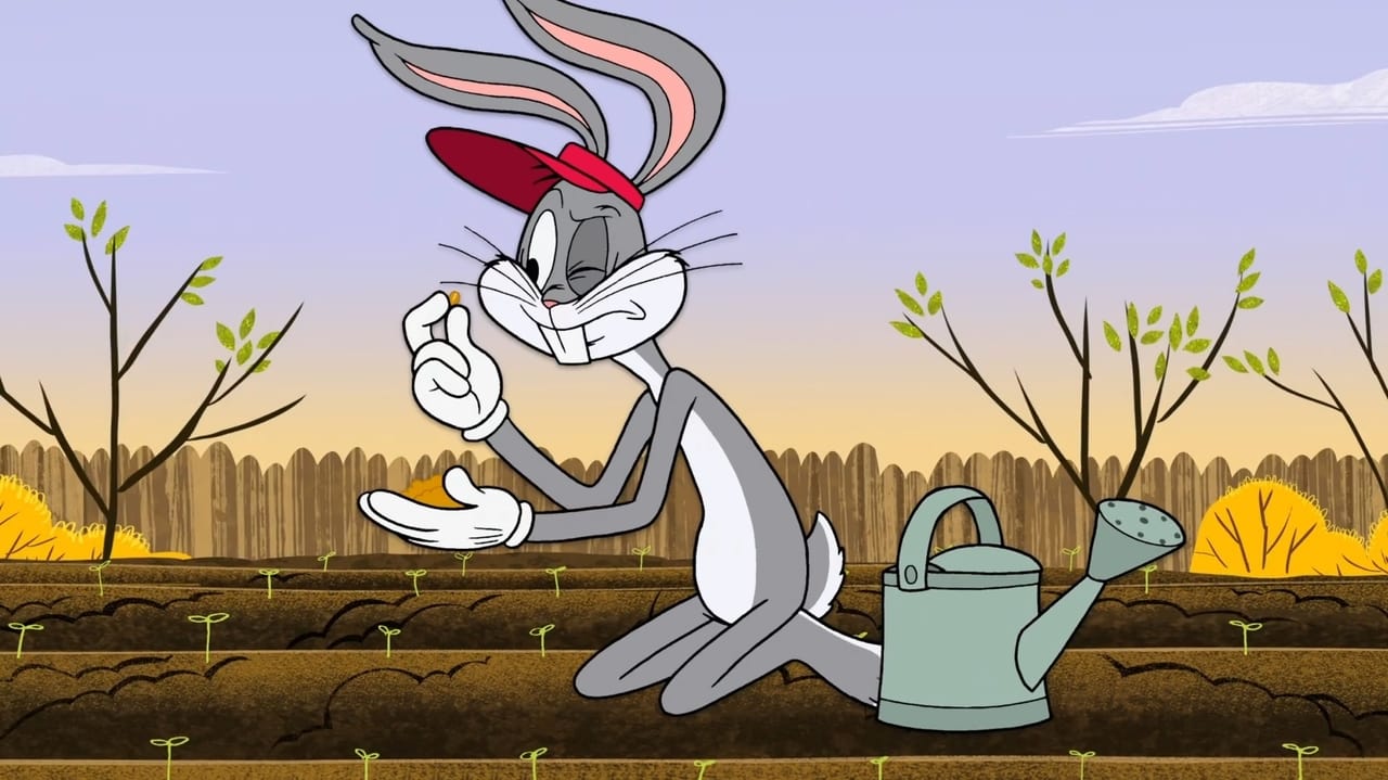 New Looney Tunes - Season 1 Episode 23 : Bugs in the Garden