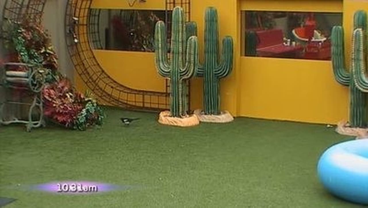 Big Brother - Season 10 Episode 76 : Day 65 Highlights