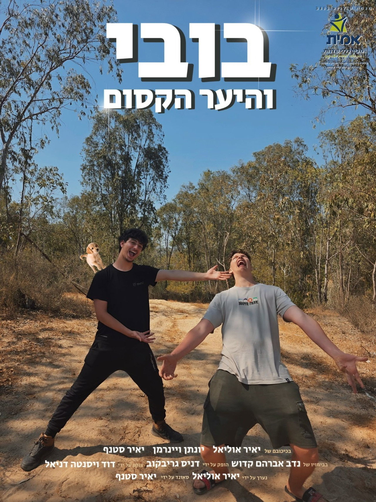 בובי והיער הקסום filmaffisch