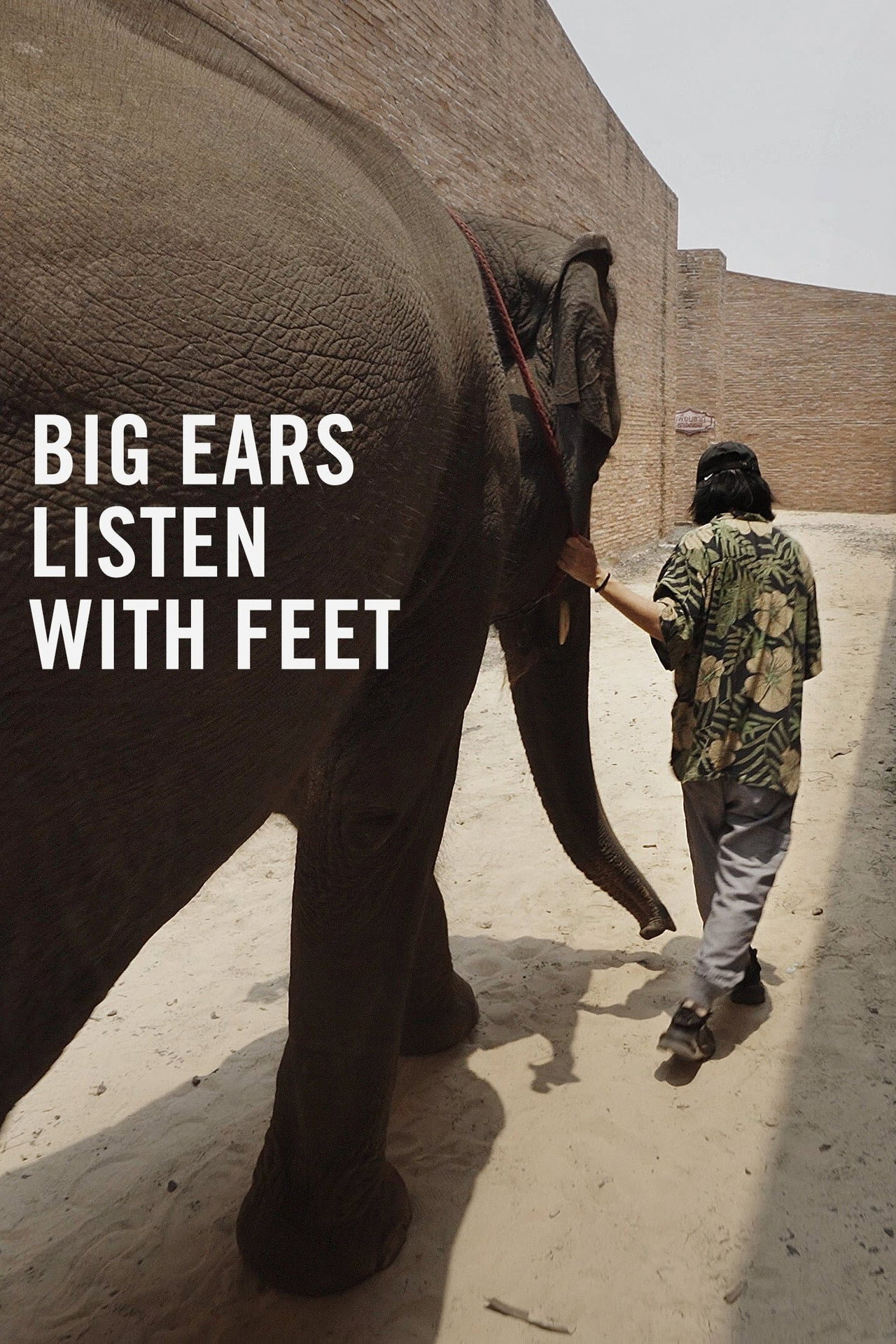 Big Ears Listen with Feet filmaffisch