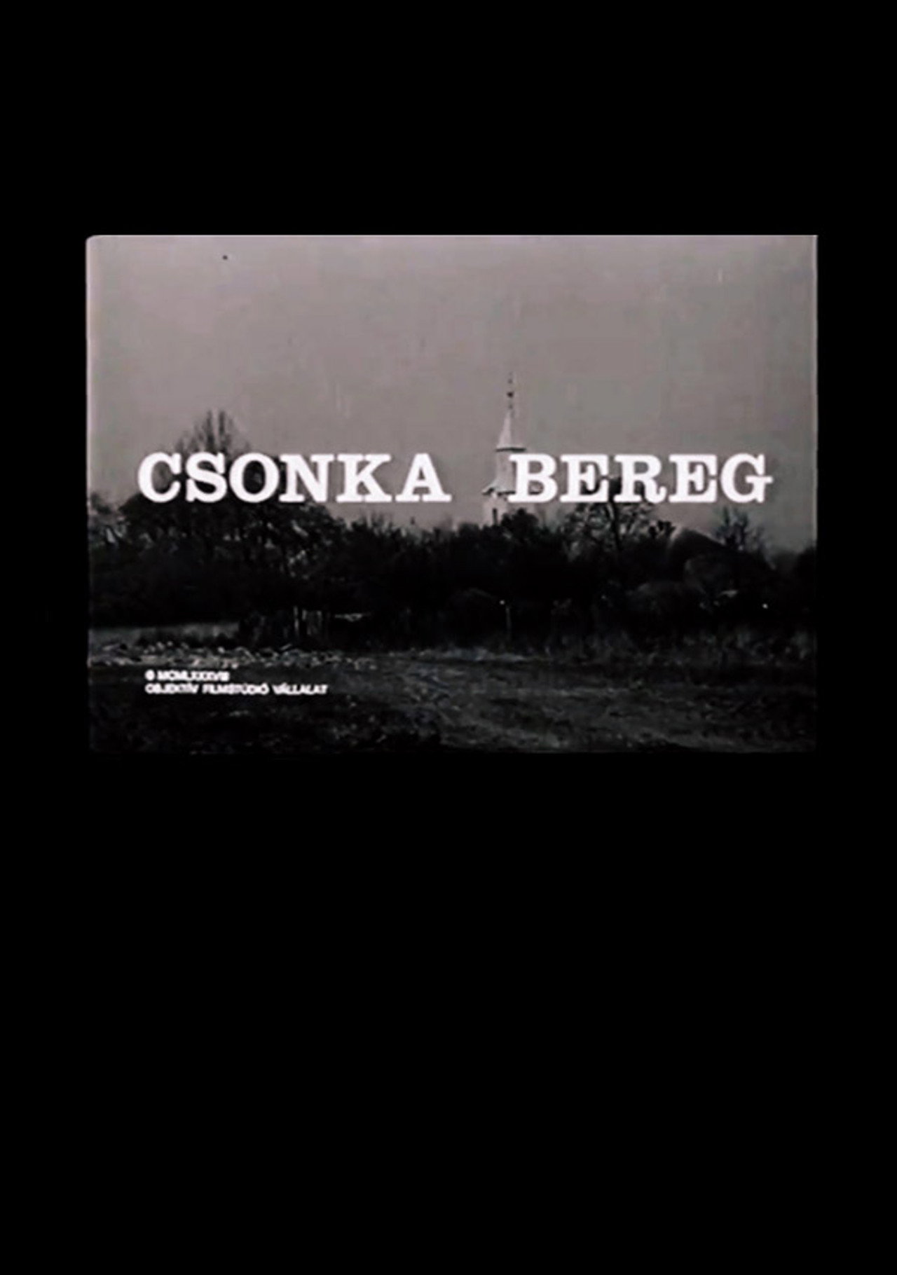 Csonka Bereg filmaffisch