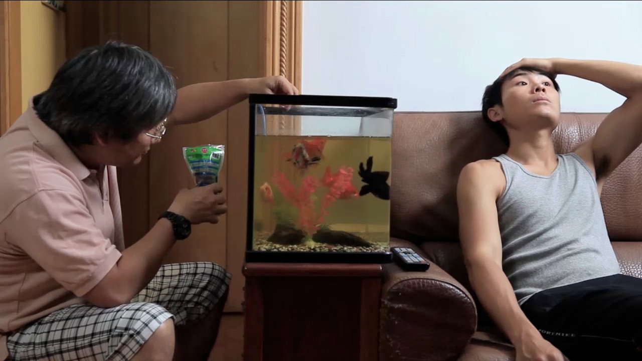 Twenty and Three backdrop