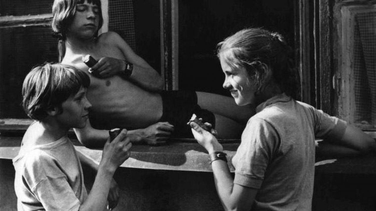 Woodpeckers Don't Get Headaches backdrop