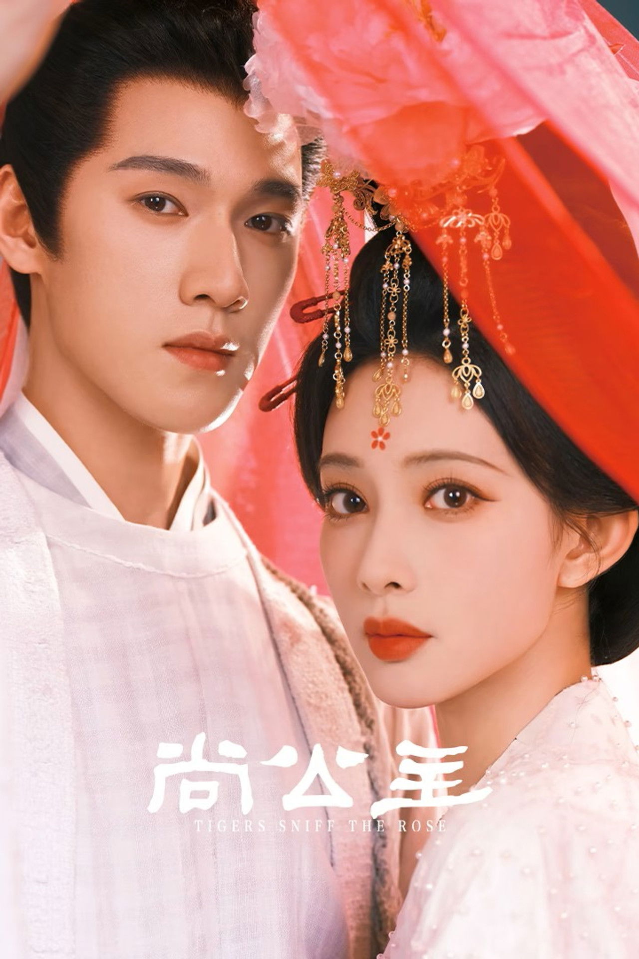 Tigers Sniff the Rose poster