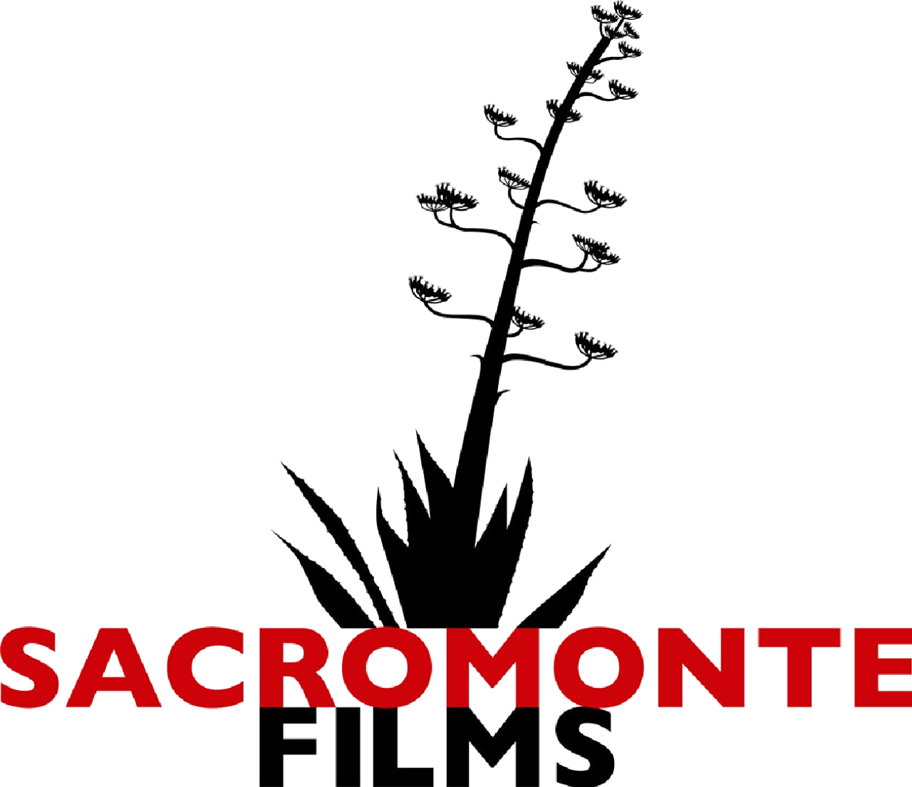 Sacromonte Films