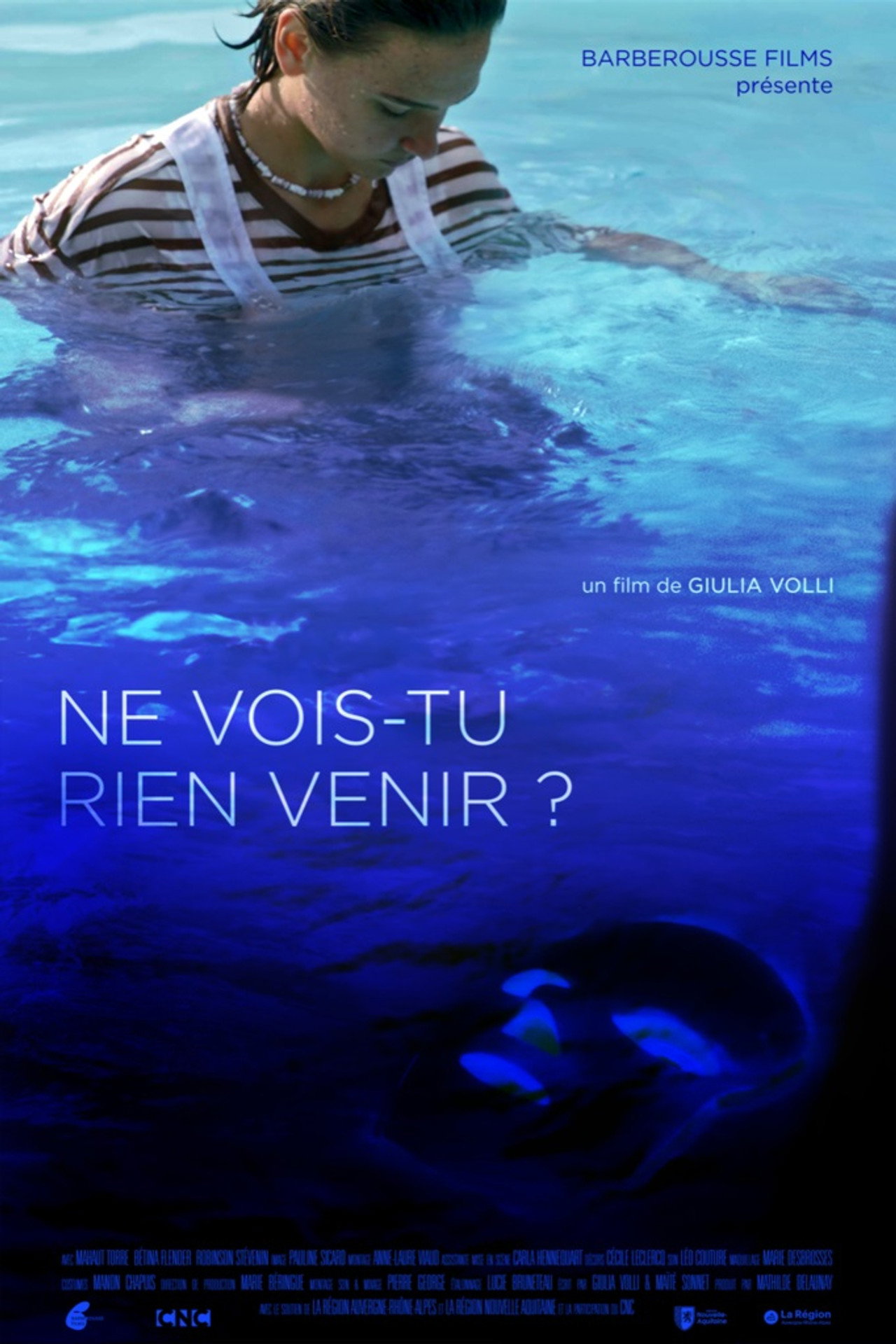 Ne vois-tu rien venir ? filmaffisch