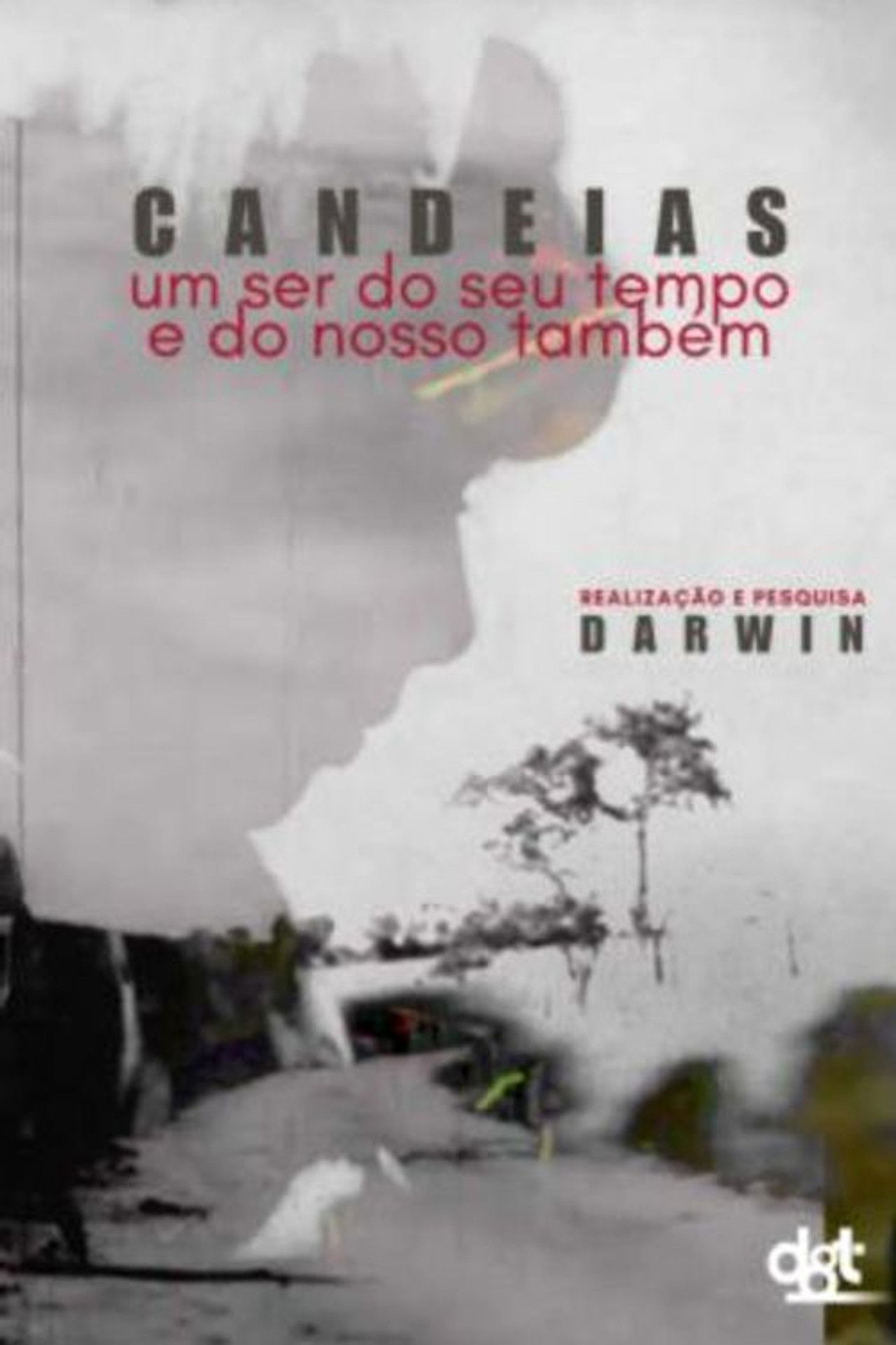 Candeias: Um Ser do seu Tempo Backdrop