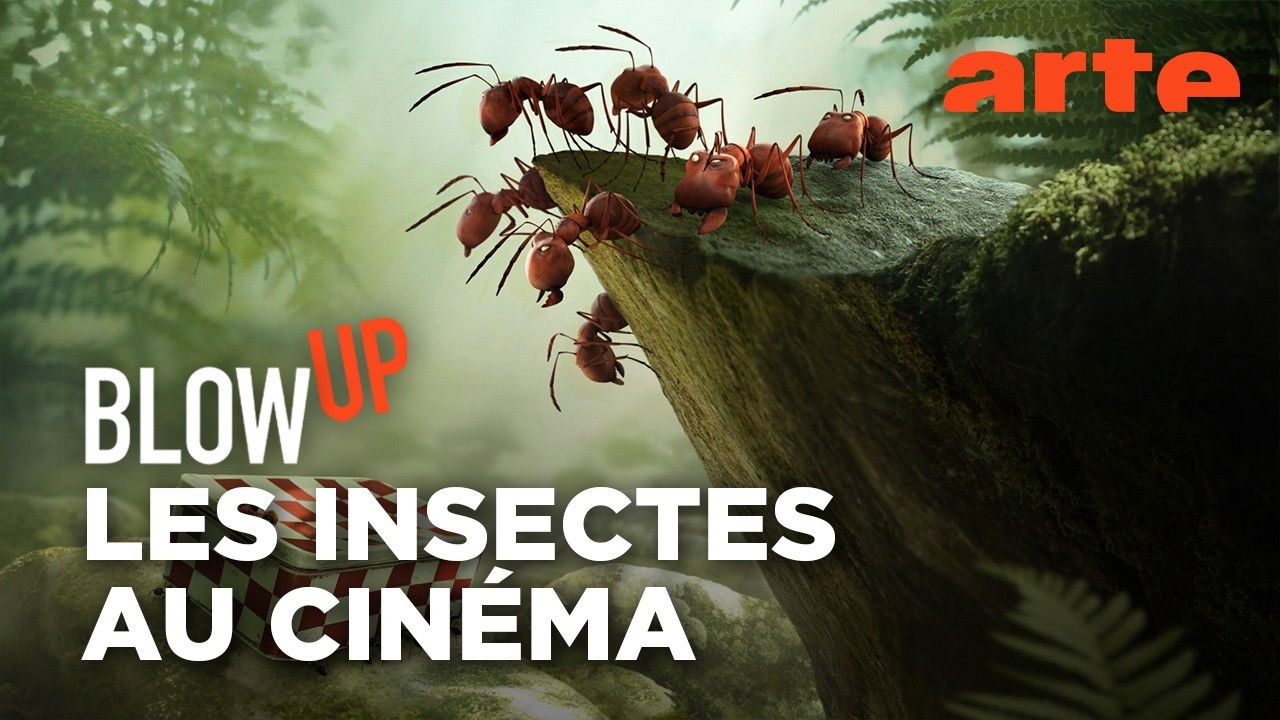 Blow Up — Les insectes au cinéma