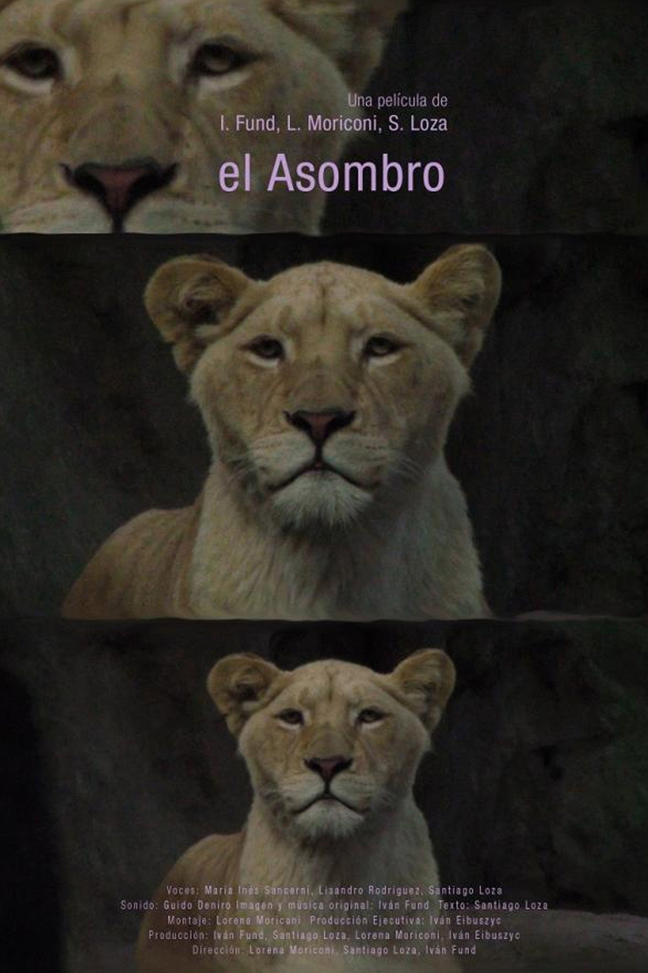 El asombro filmaffisch
