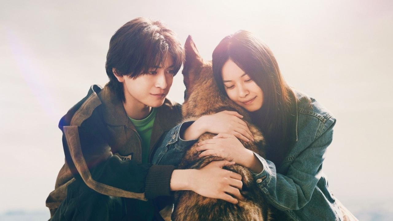 少年と犬 少年と犬