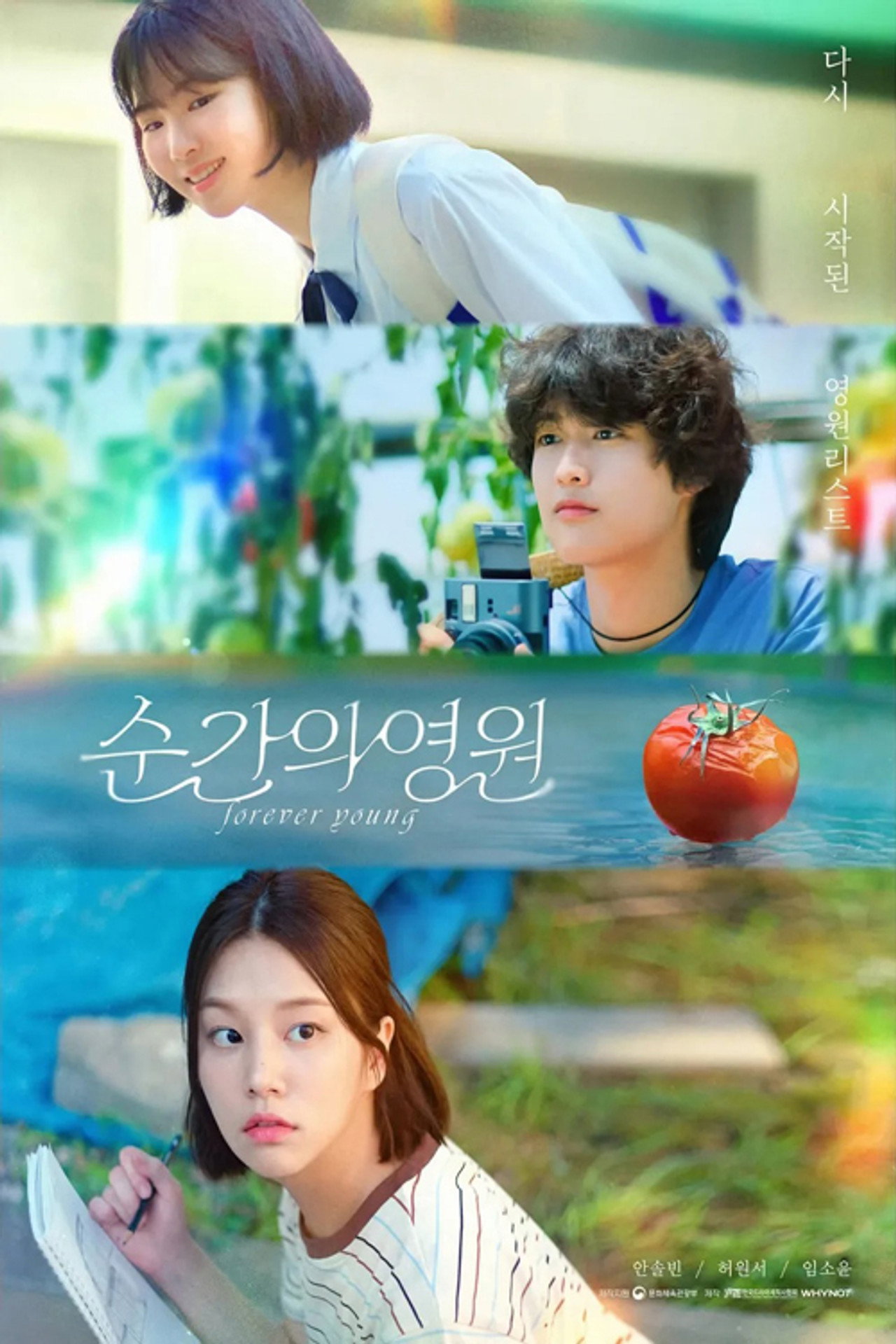 순간의 영원 affisch