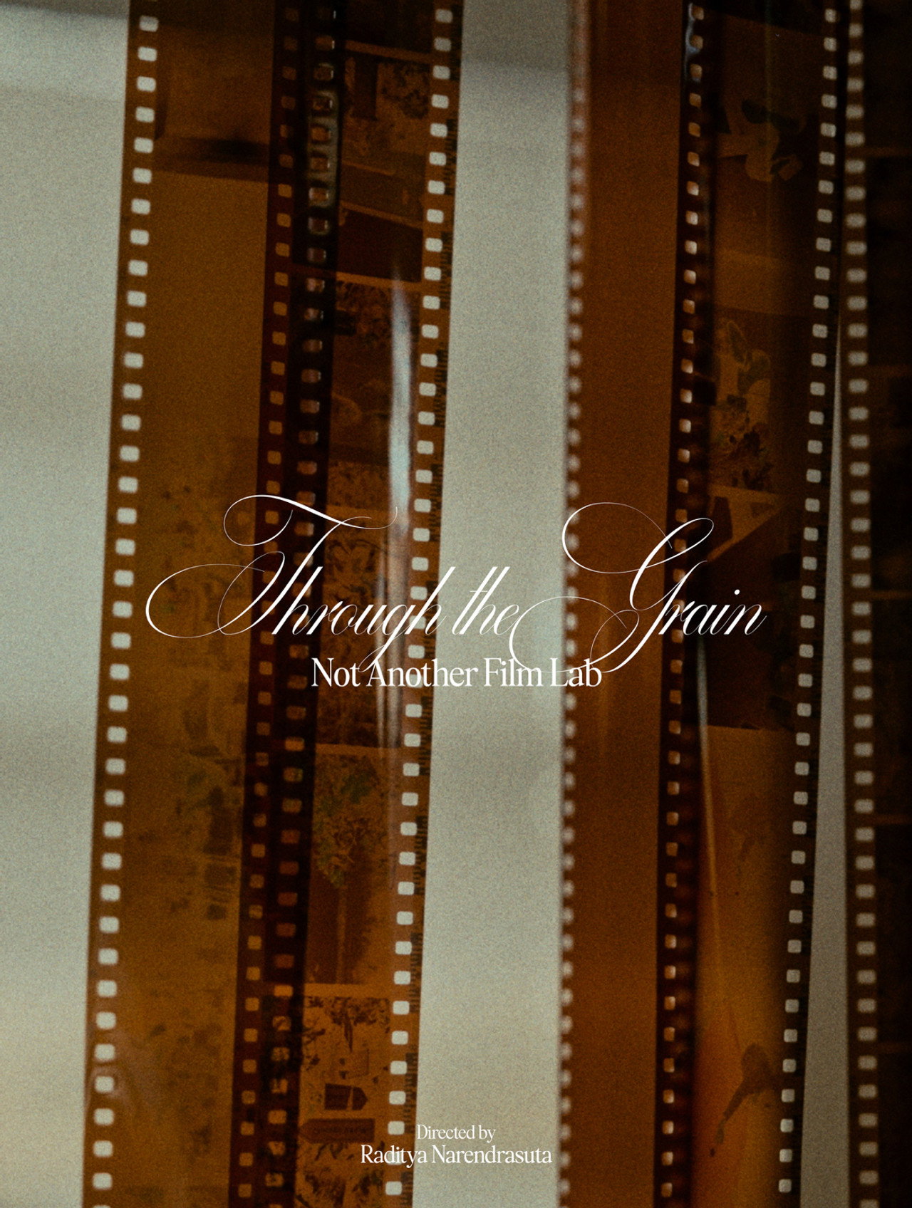 Through the Grain: Not Another Film Lab filmaffisch