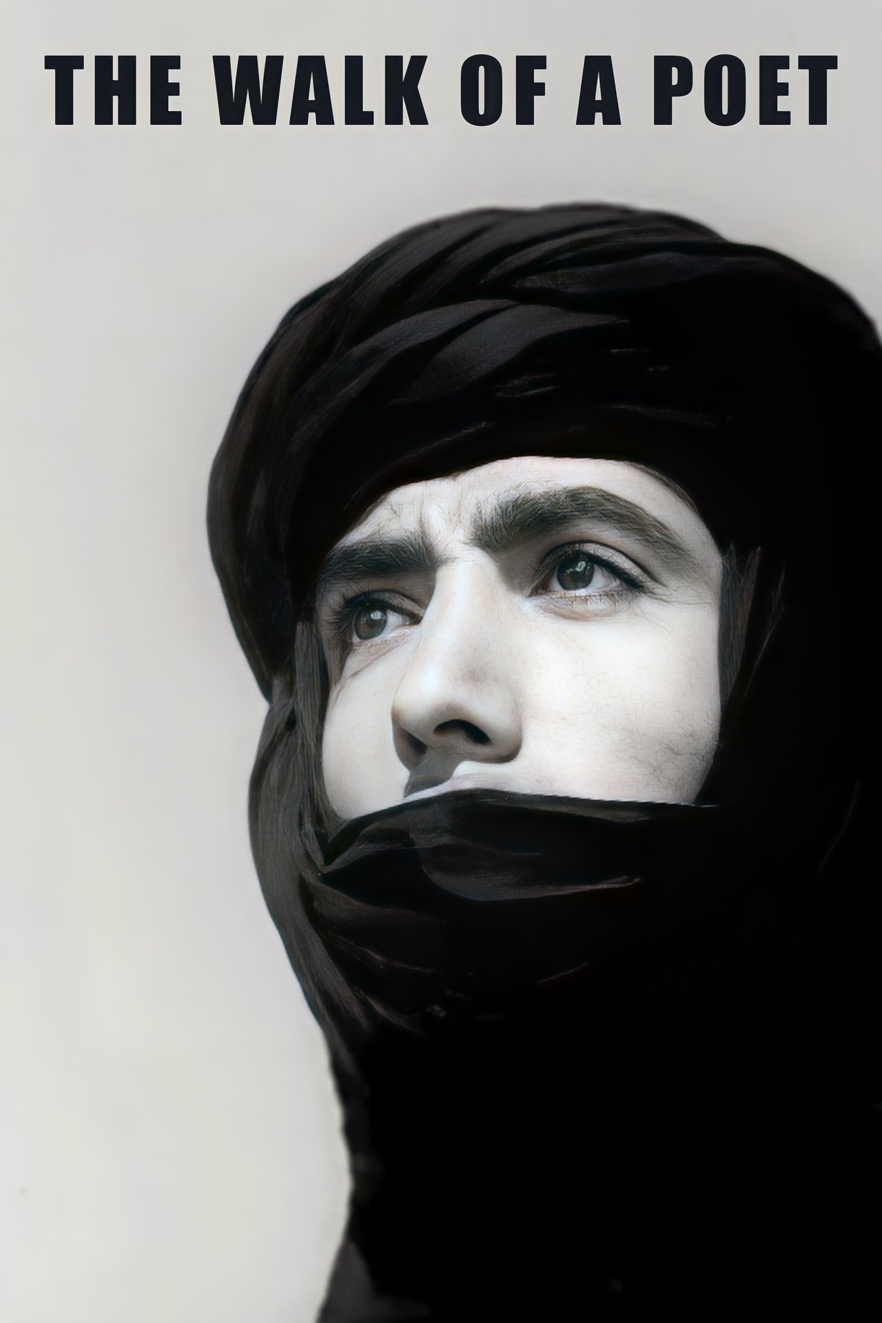طرفاية أو مسيرة شاعر طرفاية أو مسيرة شاعر