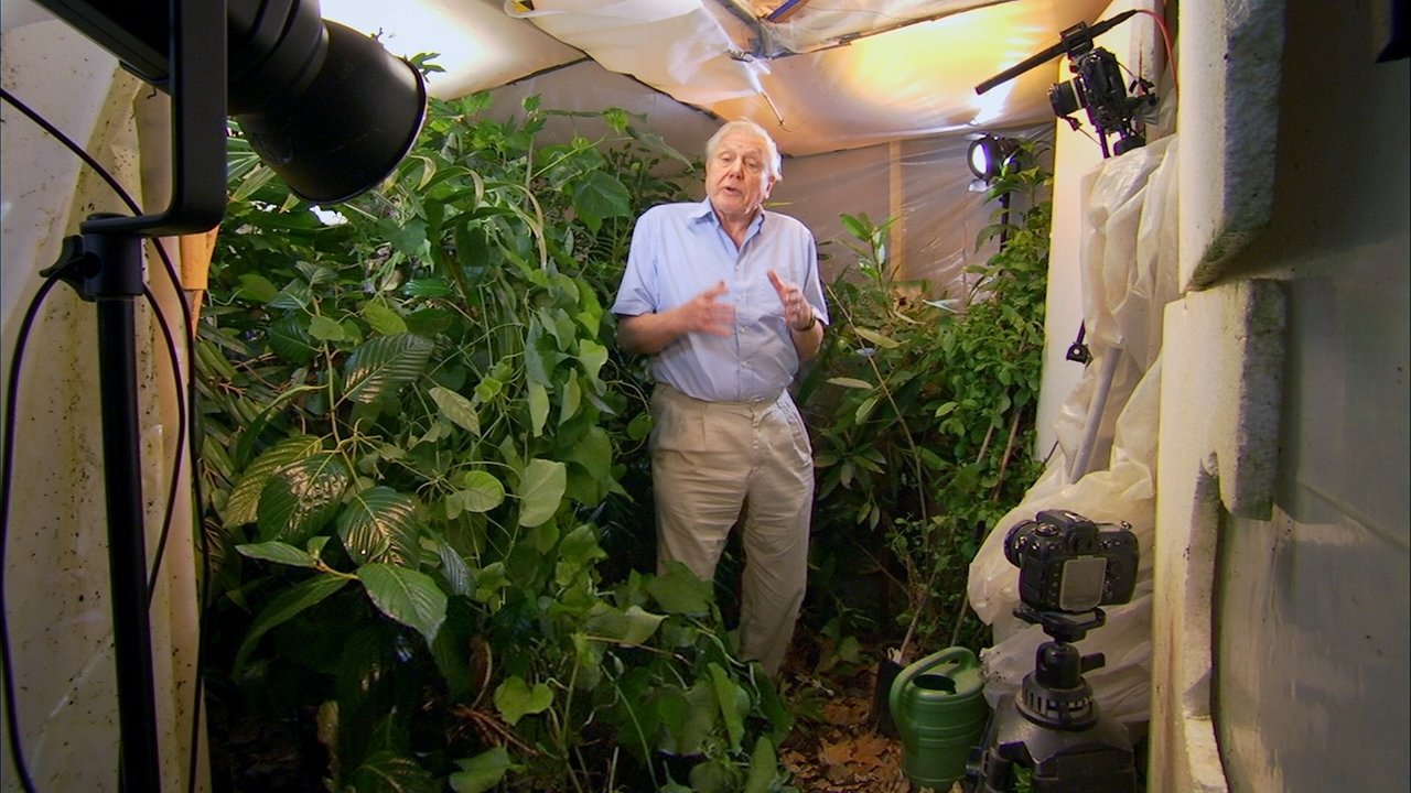 Attenborough 60 Years in the Wild background