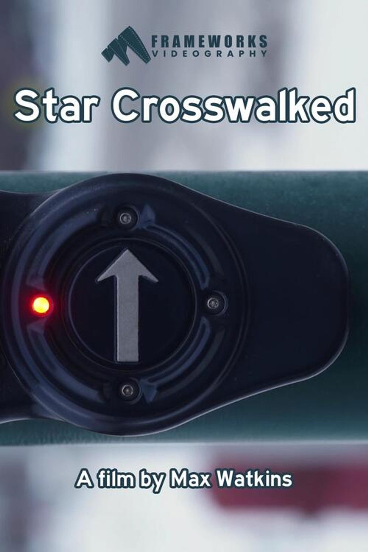Star Crosswalked Backdrop