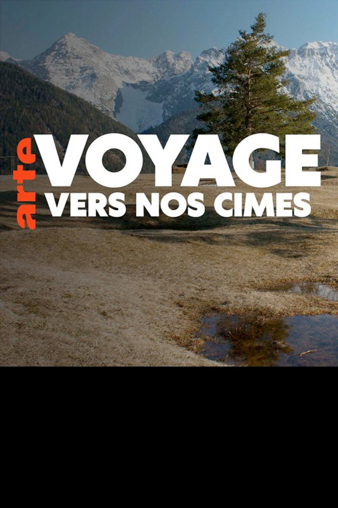 Voyage vers nos cimes affisch