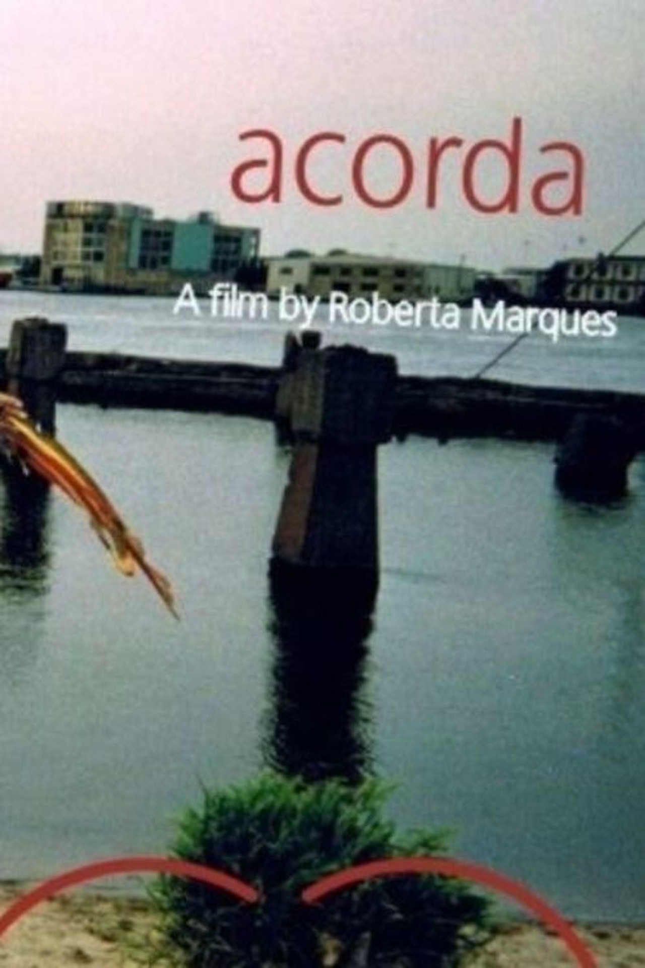 Acorda filmaffisch