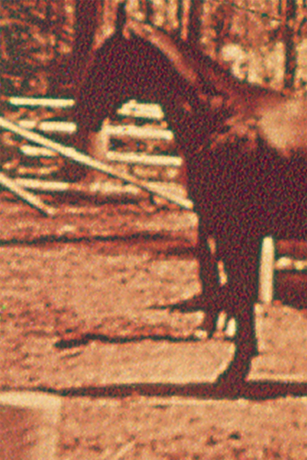 Eleven Different Horses filmaffisch