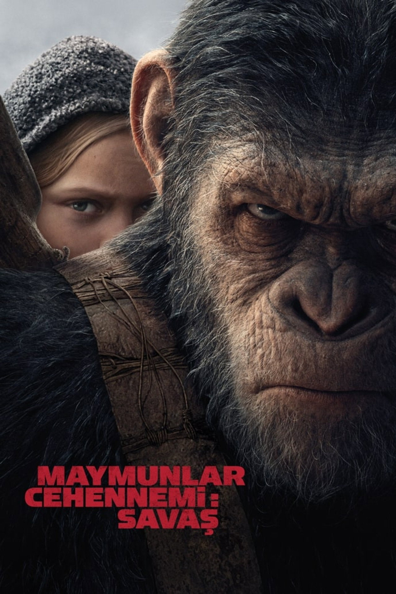 Maymunlar Cehennemi: Savaş Poster
