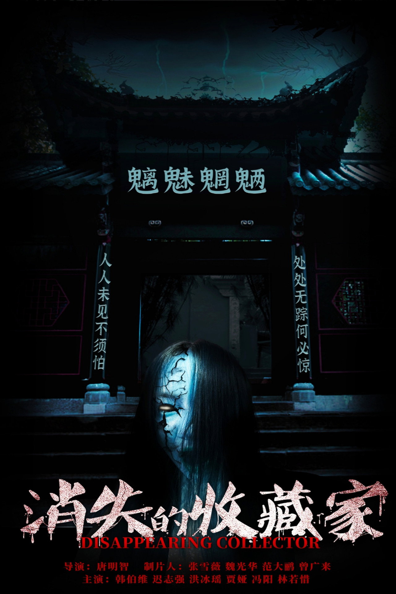 消失的收藏家 filmaffisch