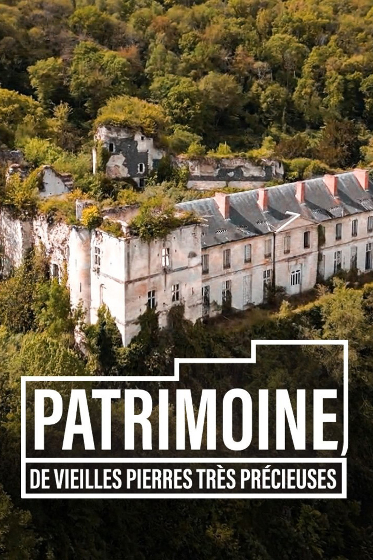 Patrimoine, de vieilles pierres très précieuses filmaffisch