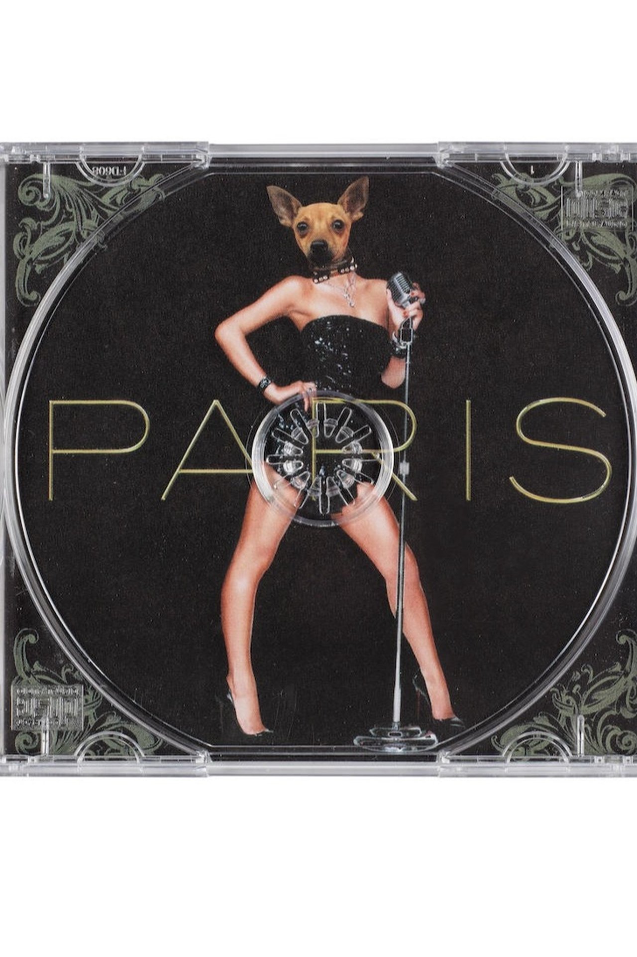 مشاهدة فيلم The Punking of Paris Hilton مترجم بدون اعلانات - بوستر