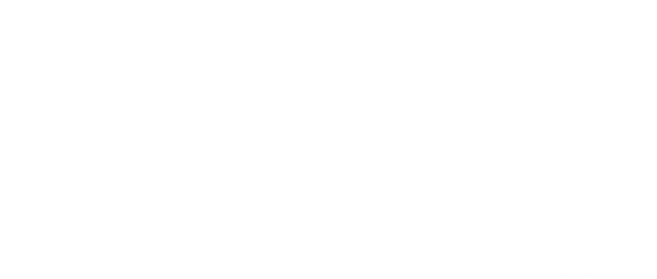 Leo 2