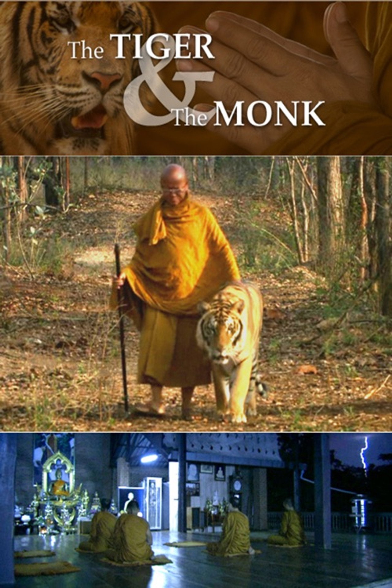 The Tiger and the Monk (2007)