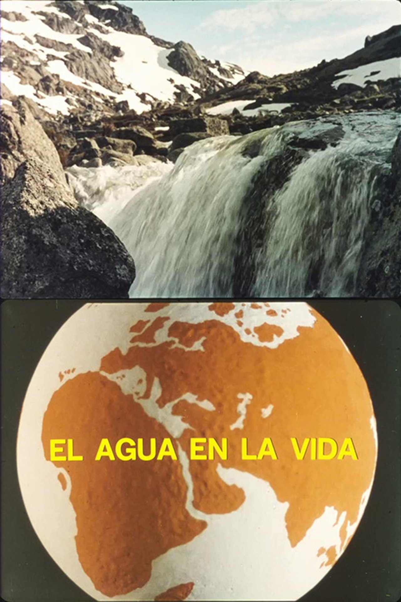 El agua en la vida El agua en la vida