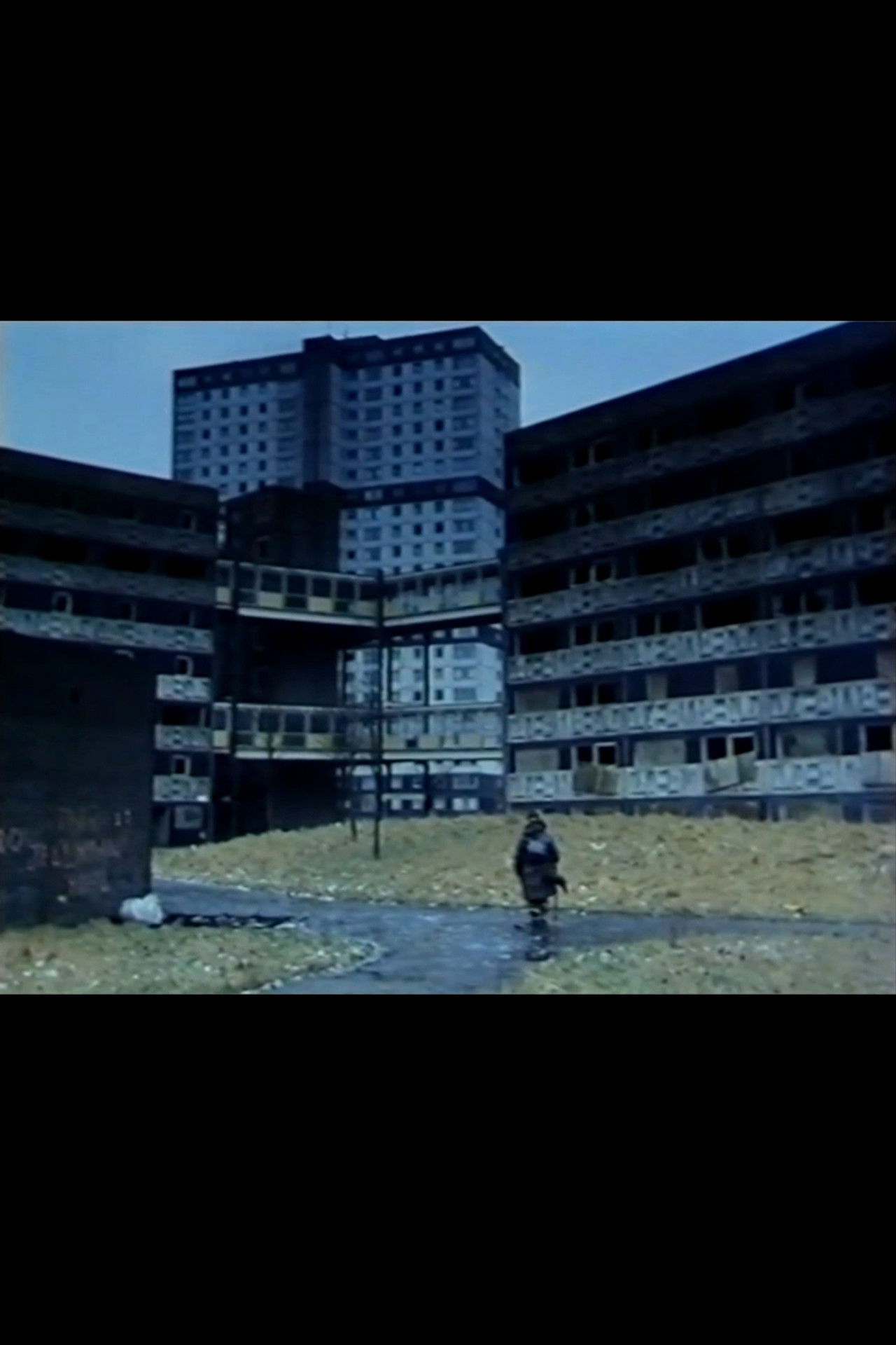 Happy the Man Backdrop